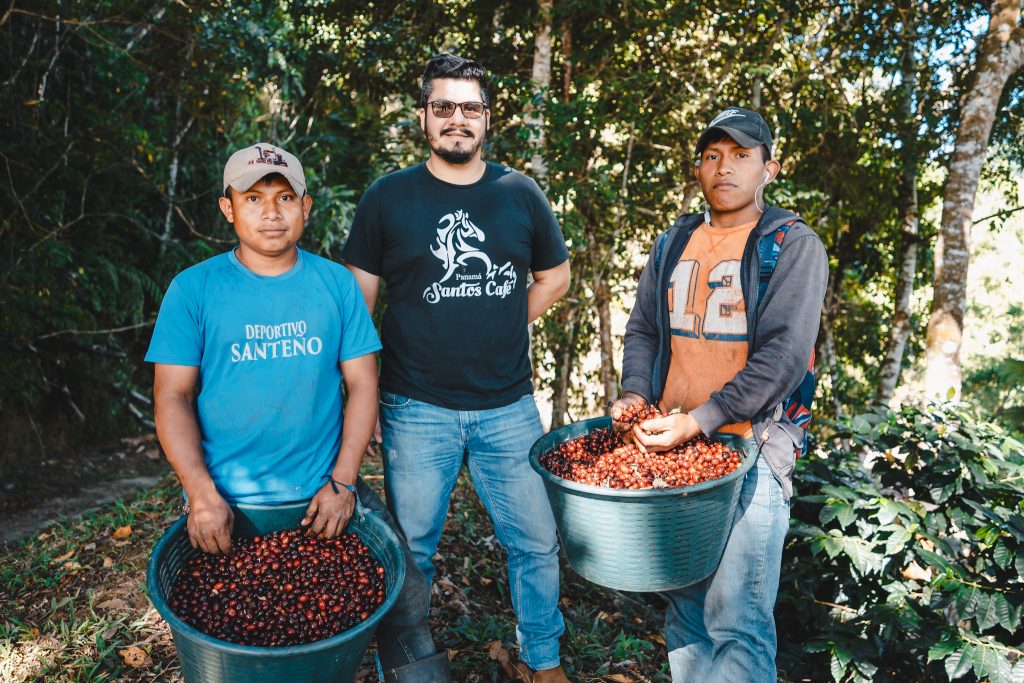 Panama La Mimada Geisha Dynamic Cherry