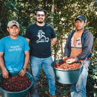 Panama La Mimada Geisha Dynamic Cherry