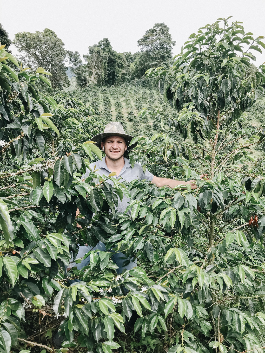 Colombia Sebastian Ramirez - Red Fruit Co-Fermentation (Early-Release)