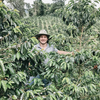 Colombia Sebastian Ramirez - Red Fruit Co-Fermentation (Early-Release)